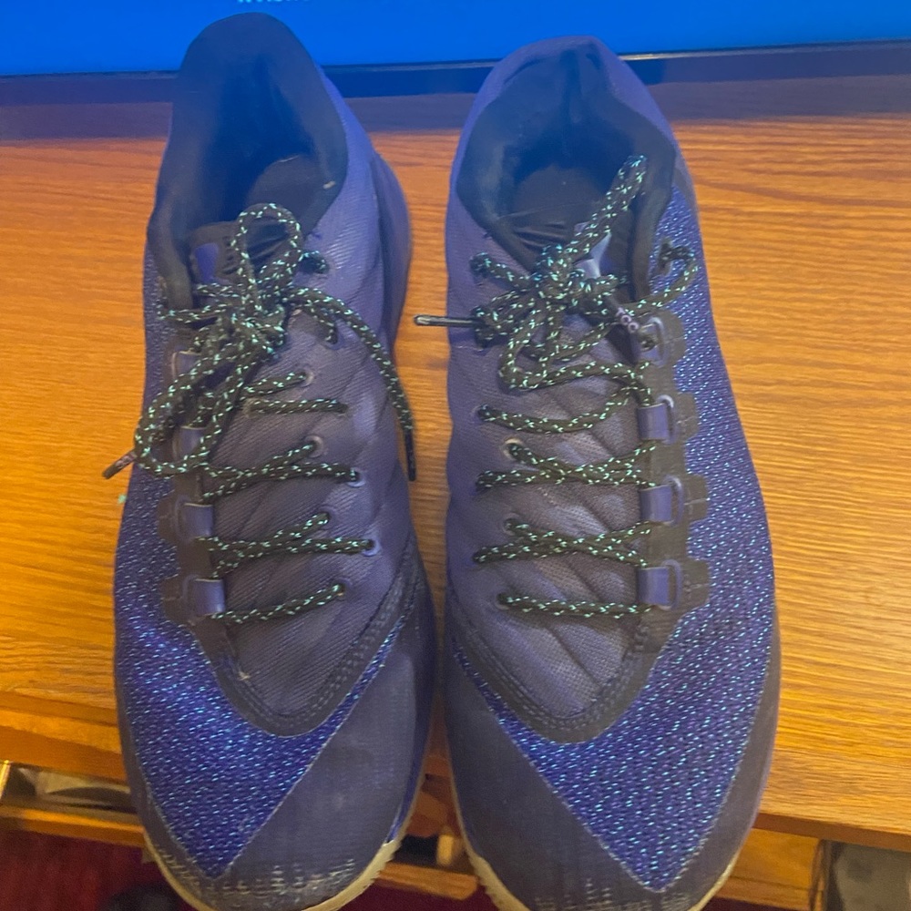 Purple curry 3 lows